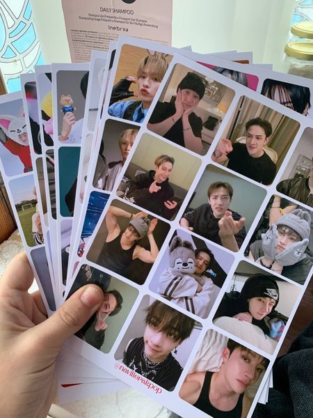 Стікери Stray Kids мембери skz-st-110 фото